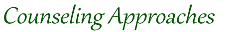 Counseling Approaches