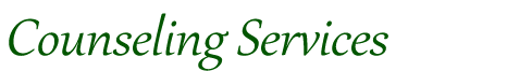 Heidi Southern Counseling Services